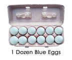Blue/Green Eggs