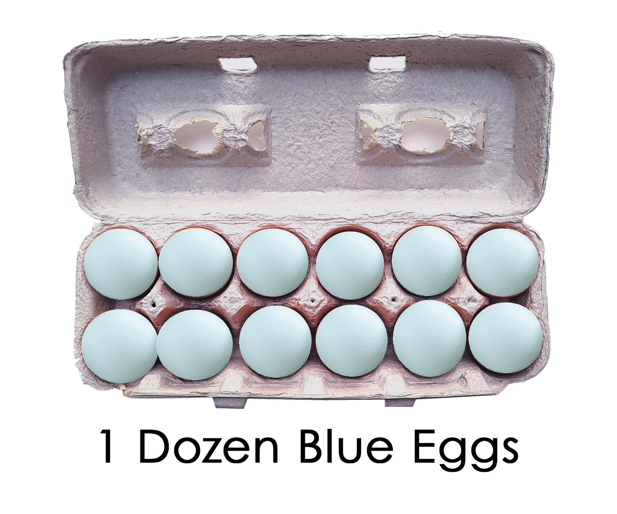 Blue/Green Eggs