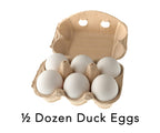 Duck Eggs