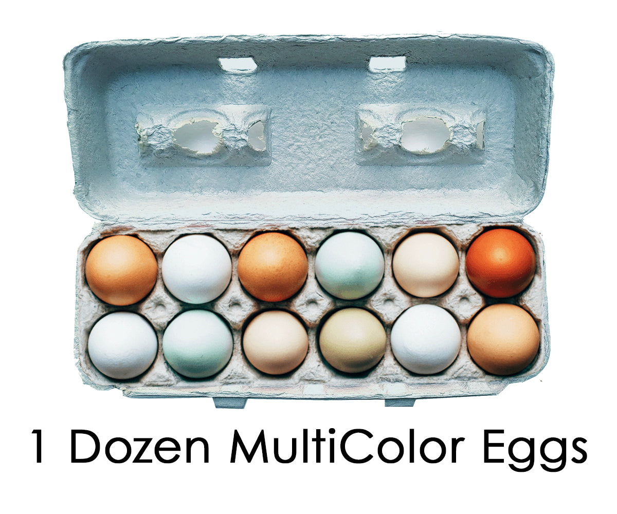 Multi-Color Eggs
