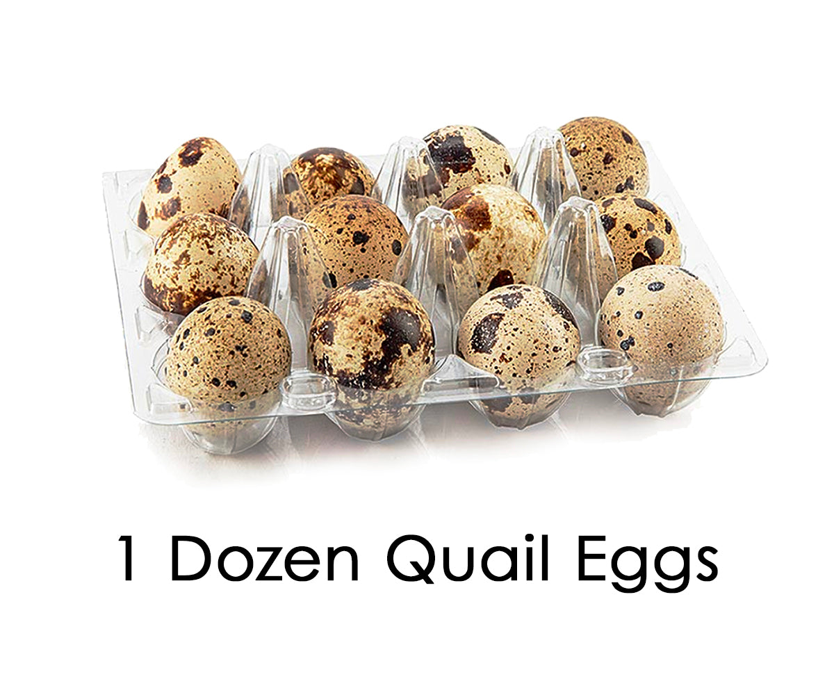 Quail Eggs