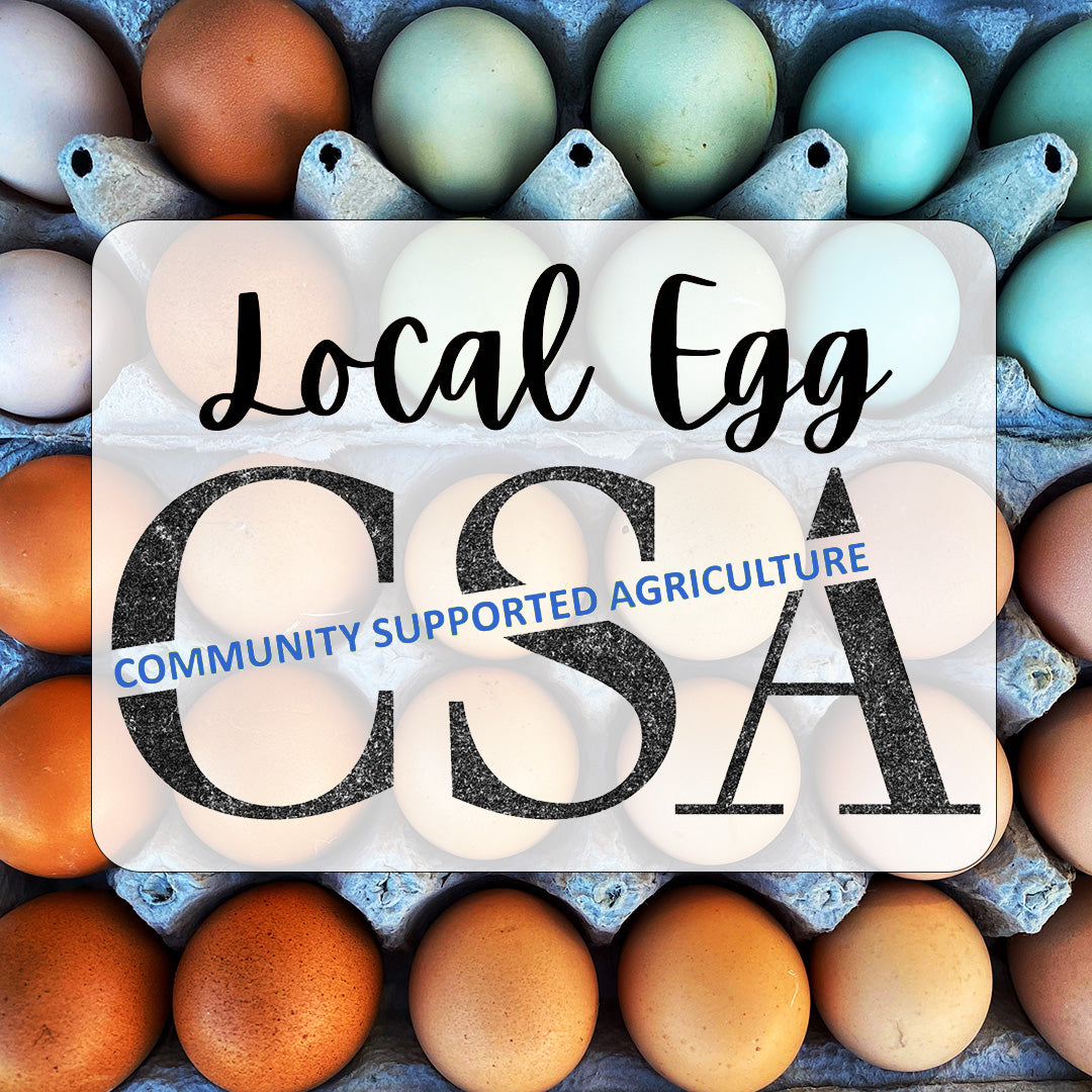 Winter Egg CSA (2026)