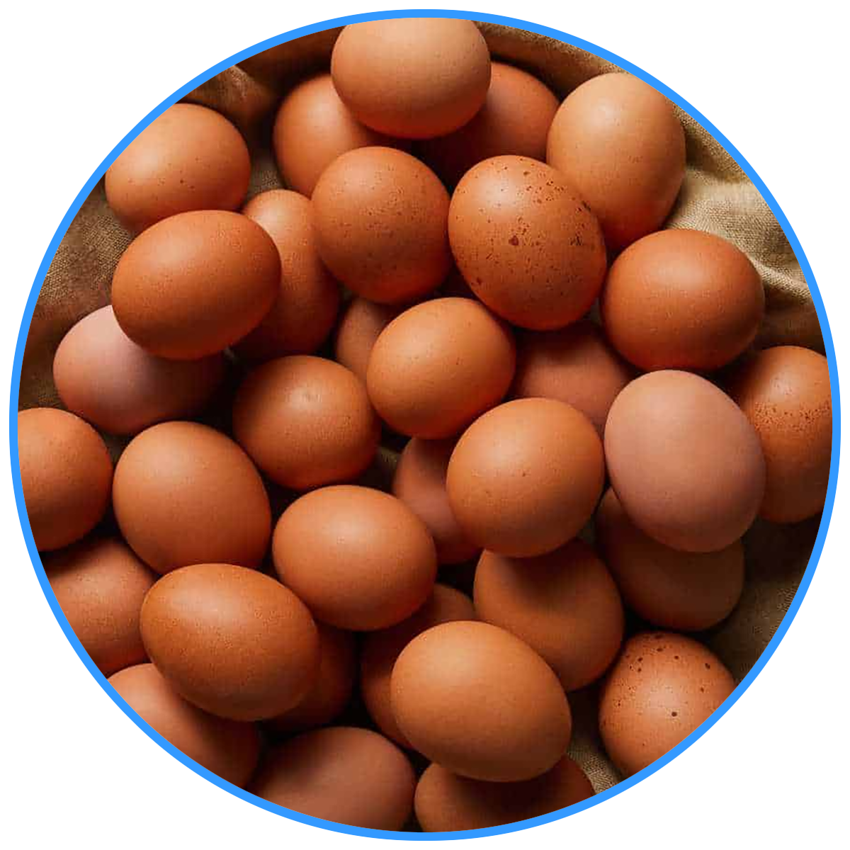 Brown Eggs